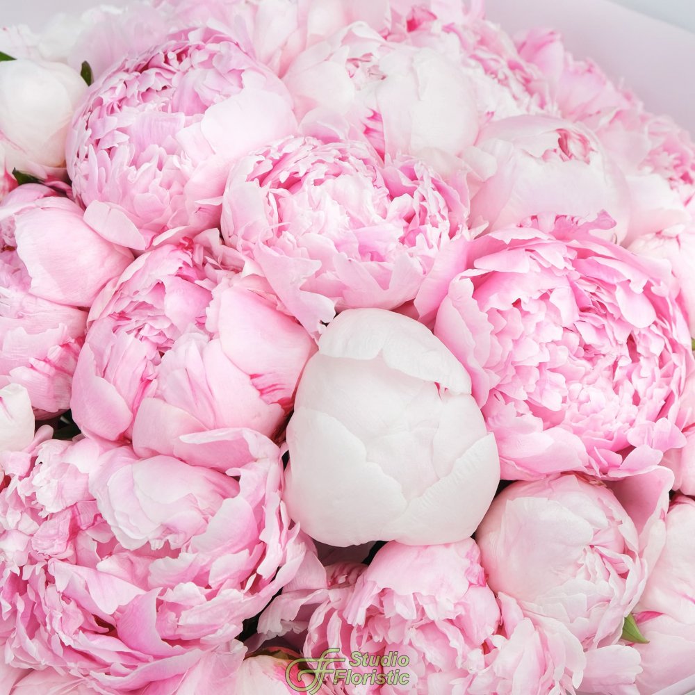 Букет 21 Роскошный Пион